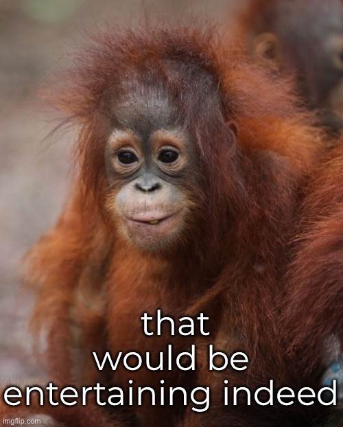 that would be entertaining indeed | made w/ Imgflip meme maker