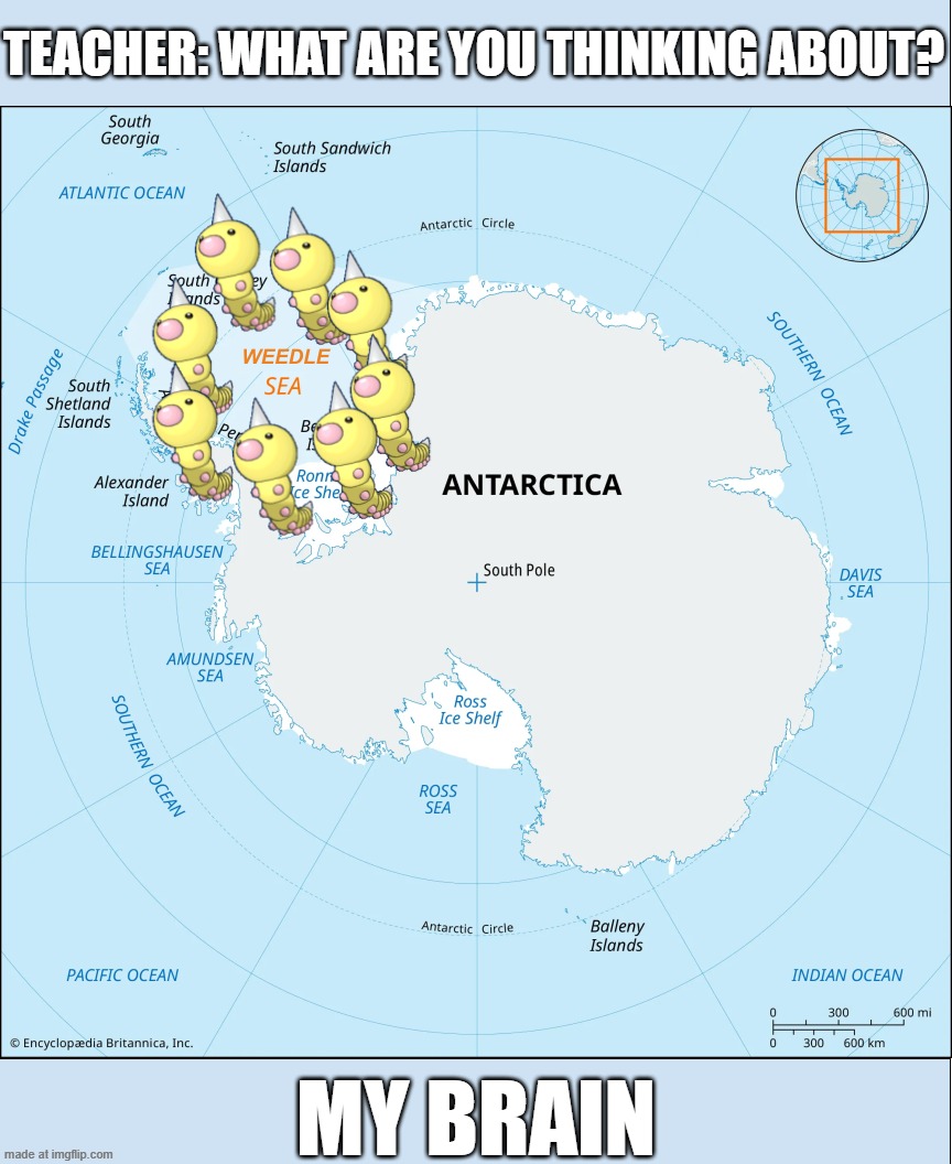 WEEDLE | teacher: What are you thinking about? my brain | image tagged in pokemon,ocean,antarctica,fun,funny,funny meme | made w/ Imgflip meme maker