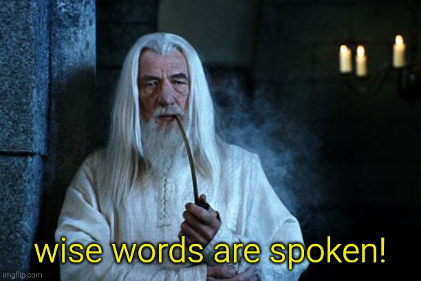 Wise words are spoken  | wise words are spoken! | image tagged in wise words are spoken | made w/ Imgflip meme maker