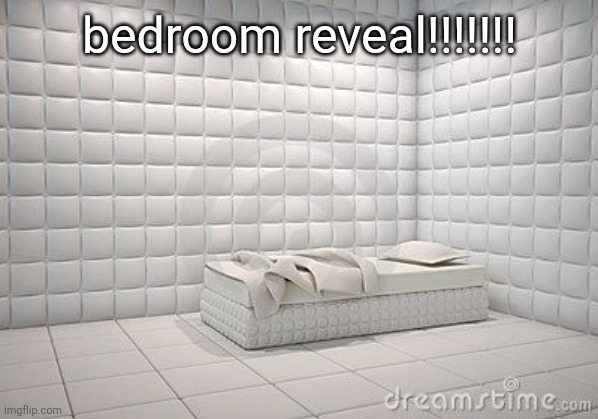 insane asylum pillow room | bedroom reveal!!!!!!! | image tagged in insane asylum pillow room | made w/ Imgflip meme maker