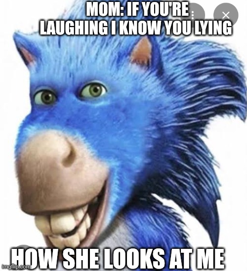 Sonic meme thingy | Mom: if you're laughing I know you lying; How she looks at me | image tagged in memes | made w/ Imgflip meme maker