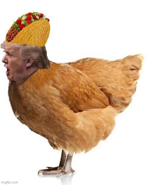 Every once in a while, he gets something right by accident (no credit, though) | image tagged in chicken trump,idiocracy,war,ceasefire | made w/ Imgflip meme maker