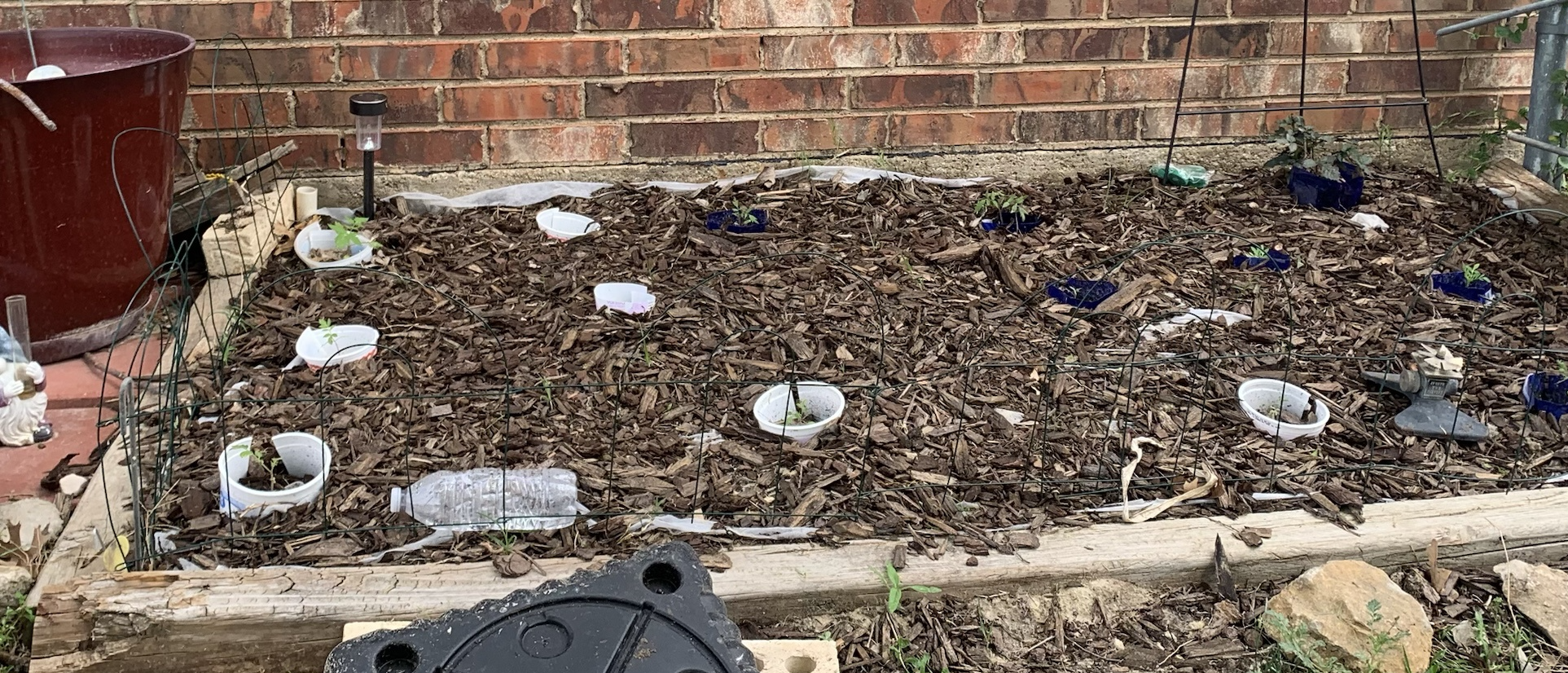 Texas victory garden Spring 2026 Blank Meme Template