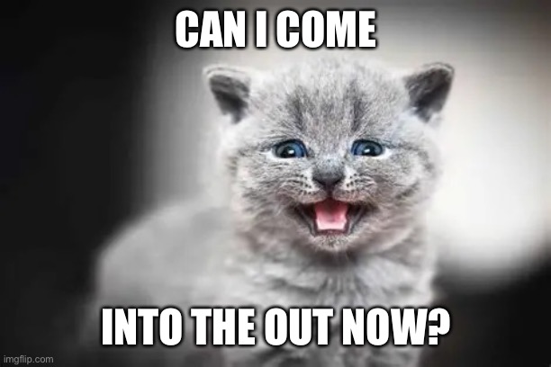 Can I Come Into The Out Now? | Can I Come; Into The Out Now? | image tagged in meowing kitten | made w/ Imgflip meme maker