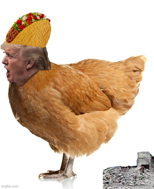 chicken trump | image tagged in chicken trump,idiocracy,ceasefire,liar,chaos,weapon of mass destruction | made w/ Imgflip meme maker