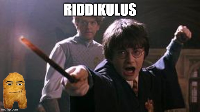 riddikulus | Riddikulus | image tagged in harry potter spell | made w/ Imgflip meme maker
