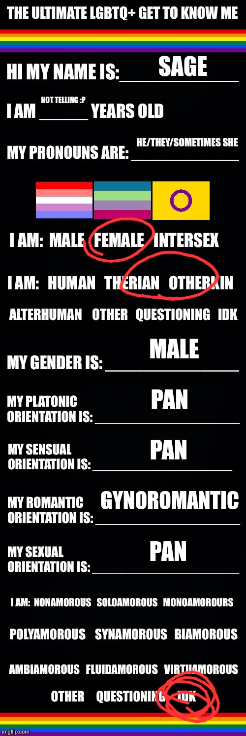 The ultimate LGBTQ+ get to know me | sage; not telling :p; he/they/sometimes she; male; pan; pan; gynoromantic; pan | image tagged in the ultimate lgbtq get to know me | made w/ Imgflip meme maker
