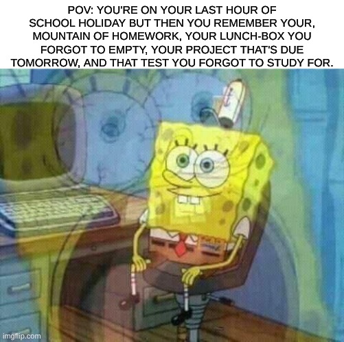 hate it when it happens | pov: you're on your last hour of school holiday but then you remember your, mountain of homework, your lunch-box you forgot to empty, your project that's due tomorrow, and that test you forgot to study for. | image tagged in spongebob panic inside,school,school holiday | made w/ Imgflip meme maker