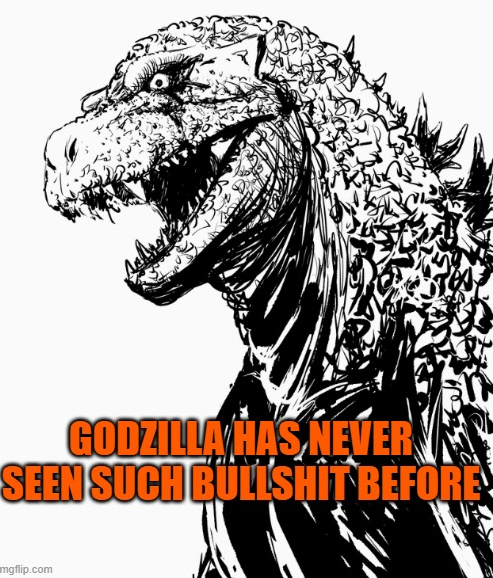 Godzilla has never seen such bullshit before Blank Meme Template