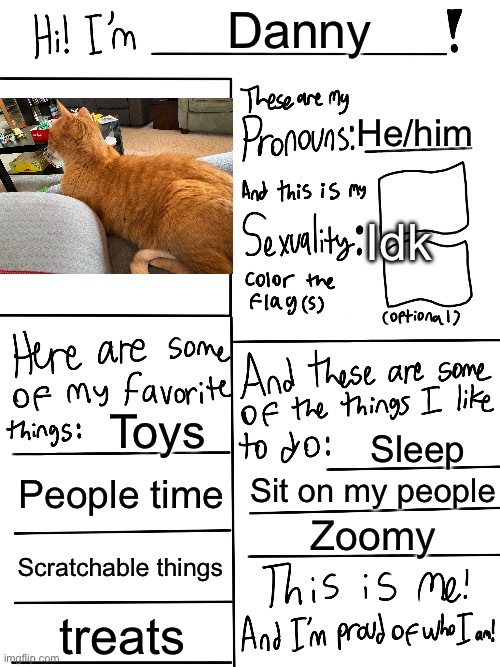 Copying what nyx did (also, if you want to know why I changed my img name, mc me) | Danny; He/him; Idk; Toys; Sleep; People time; Sit on my people; Zoomy; Scratchable things; treats | image tagged in lgbtq stream account profile | made w/ Imgflip meme maker