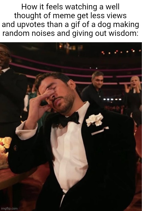 This better not blow up | How it feels watching a well thought of meme get less views and upvotes than a gif of a dog making random noises and giving out wisdom: | image tagged in bad bunny grammy wtf | made w/ Imgflip meme maker
