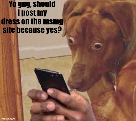 Can you tell I'm bored | Yo gng, should I post my dress on the msmg site because yes? | image tagged in shocked dog | made w/ Imgflip meme maker
