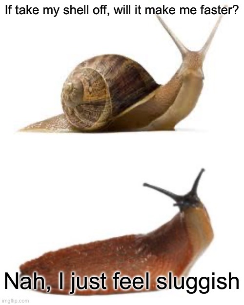 Fast snail? | If take my shell off, will it make me faster? Nah, I just feel sluggish | image tagged in snail,slug life,fast,slug,shell,bad pun | made w/ Imgflip meme maker