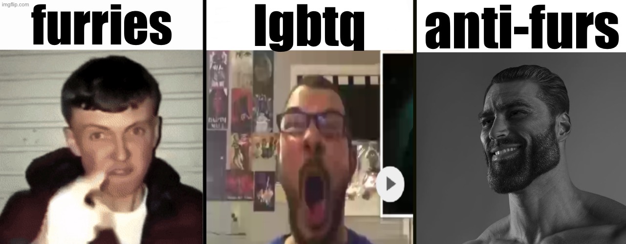 Virgin vs virgin vs chad | furries; lgbtq; anti-furs | image tagged in virgin vs virgin vs chad | made w/ Imgflip meme maker