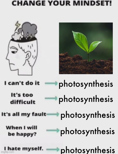 photosynthesis | photosynthesis; photosynthesis; photosynthesis; photosynthesis; photosynthesis | image tagged in change your mindset,photosynthesis,memes,funny,plants,science | made w/ Imgflip meme maker