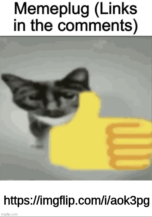 memeplug | https://imgflip.com/i/aok3pg | image tagged in memeplug | made w/ Imgflip meme maker