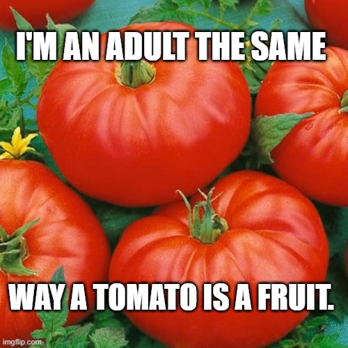 Tomato Fruit | I'm an adult the same; way a tomato is a fruit. | image tagged in tomato fruit | made w/ Imgflip meme maker