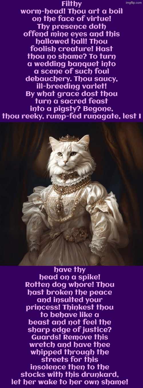 Thou Dog Whore | Filthy worm-head! Thou art a boil on the face of virtue! Thy presence doth offend mine eyes and this hallowed hall! Thou foolish creature! Hast thou no shame? To turn a wedding banquet into a scene of such foul debauchery. Thou saucy, ill-breeding varlet! By what grace dost thou turn a sacred feast into a pigsty? Begone, thou reeky, rump-fed runagate, lest I; have thy head on a spike! Rotten dog whore! Thou hast broken the peace and insulted your princess! Thinkest thou to behave like a beast and not feel the sharp edge of justice? Guards! Remove this wretch and have thee whipped through the streets for this insolence then to the stocks with this drunkard, let her wake to her own shame! | image tagged in cats,medieval memes,you're drunk,princess,royal wedding,insults | made w/ Imgflip meme maker
