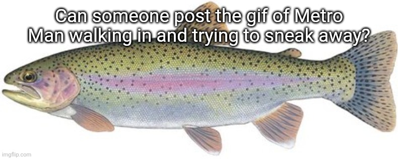 trout | Can someone post the gif of Metro Man walking in and trying to sneak away? | image tagged in trout | made w/ Imgflip meme maker