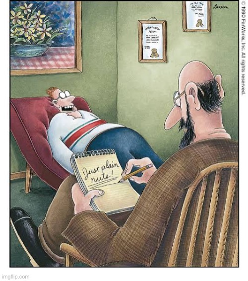 It was an easy diagnosis… | image tagged in the far side,comics,psychiatrist,patient,diagnosis,nuts | made w/ Imgflip meme maker