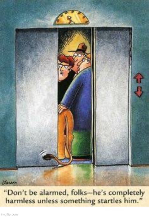 Any day now… | image tagged in the far side,comics,elevator,lion,harmless,startled | made w/ Imgflip meme maker