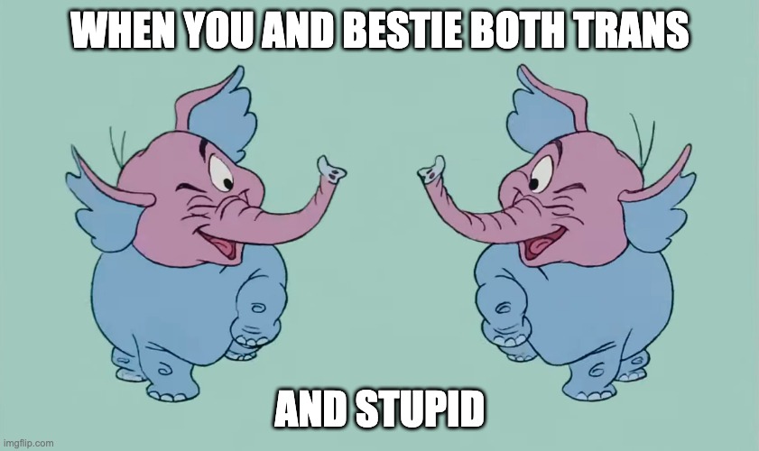bestie elephant | when you and bestie both trans; and stupid | image tagged in winking heffalumps,elephant,elephants,transgender,stupid | made w/ Imgflip meme maker