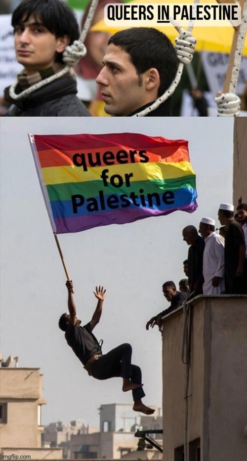 Queers for Palestine Blank Meme Template
