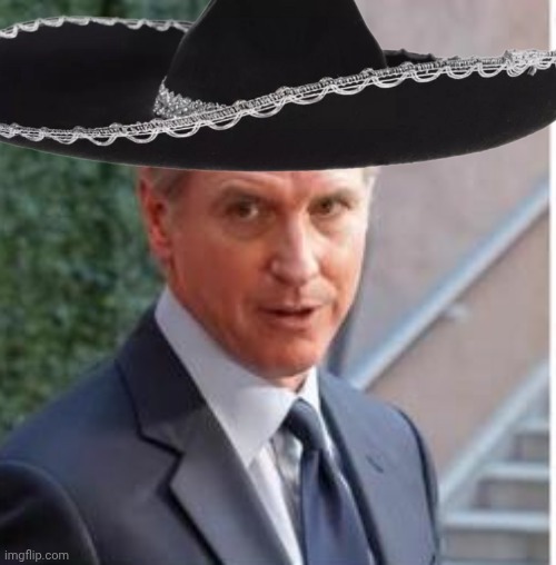 Greasy Gavin big hat Blank Meme Template