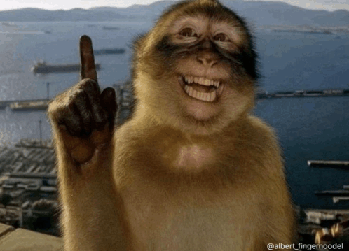 erm actually monkey Blank Meme Template