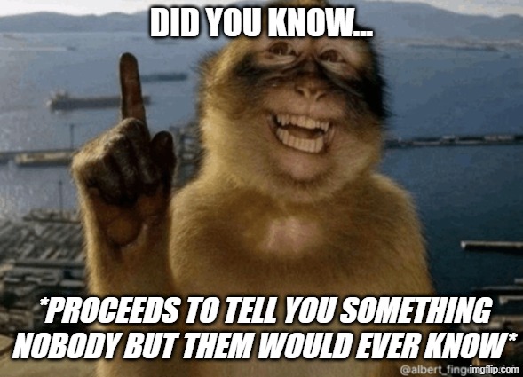 erm actually monkey | Did you know... *proceeds to tell you something nobody but them would ever know* | image tagged in erm actually monkey | made w/ Imgflip meme maker