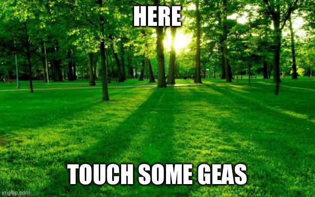 Grass and trees | Here Touch some grass | image tagged in grass and trees | made w/ Imgflip meme maker