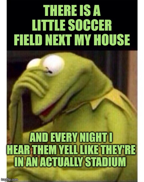 The soccer field in my city zone of Palermo | There is a little soccer field next my house; And every night i hear them yell like they're in an actually stadium | image tagged in facepalm frog | made w/ Imgflip meme maker