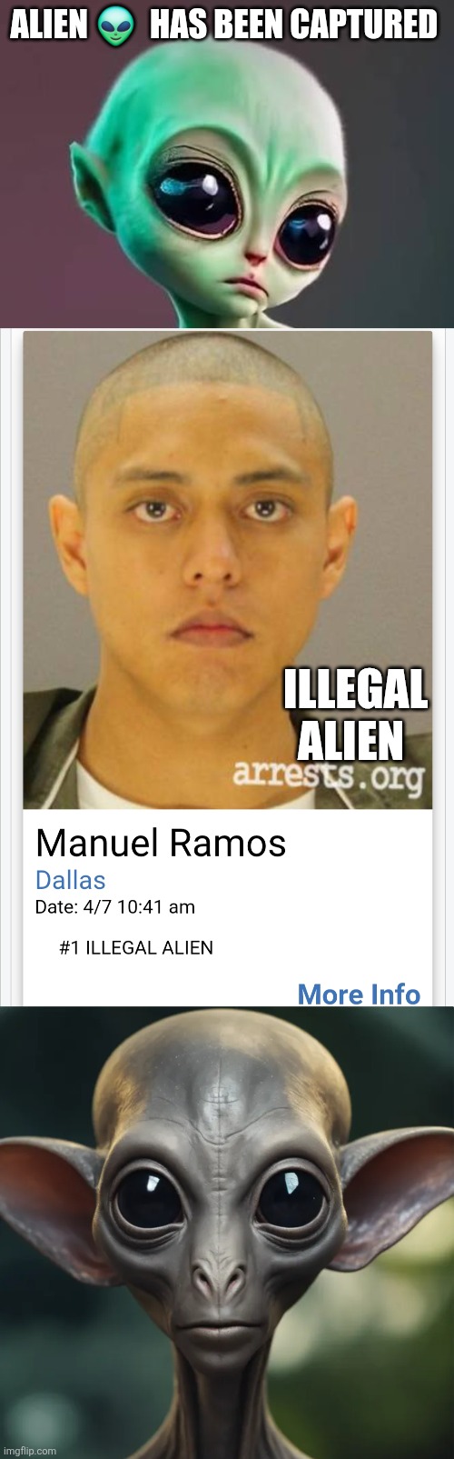 Alien captured! | Alien 👽  has been captured; Illegal alien | made w/ Imgflip meme maker