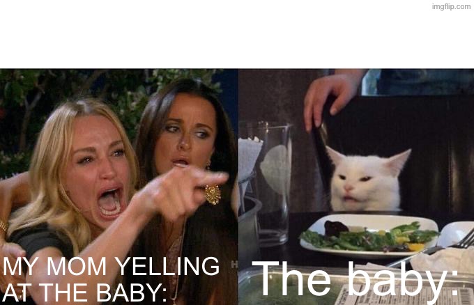 Mom yelling at the baby | My mom yelling at the baby:; The baby: | image tagged in memes,woman yelling at cat | made w/ Imgflip meme maker