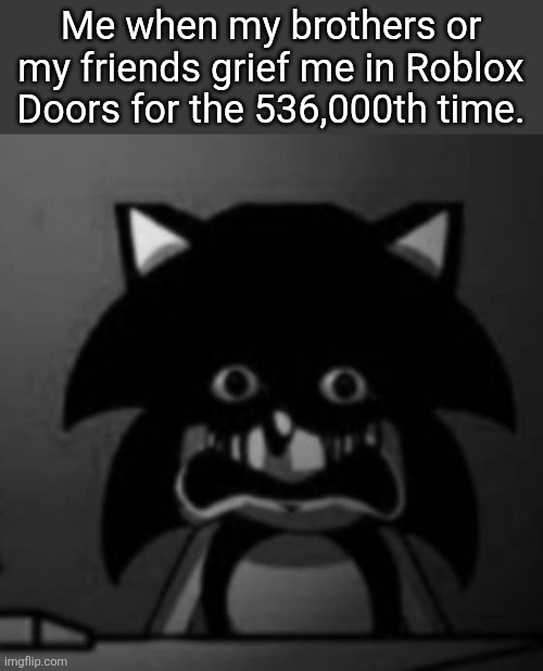 Bro. | Me when my brothers or my friends grief me in Roblox Doors for the 536,000th time. | image tagged in sonic becoming uncanny,doors | made w/ Imgflip meme maker