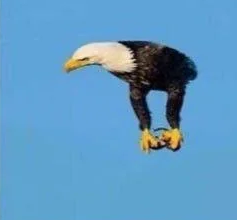 Welcome to Gboard clipboard, any text that you copy will be save Blank Meme Template