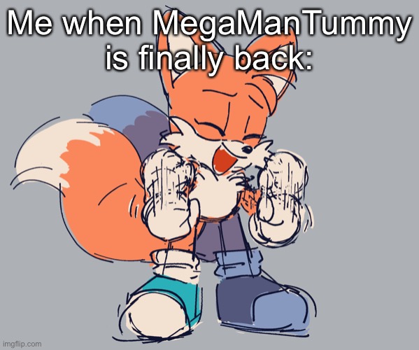 I was so worried about her! I’m happy that she’s back! | Me when MegaManTummy is finally back: | image tagged in happy tails | made w/ Imgflip meme maker