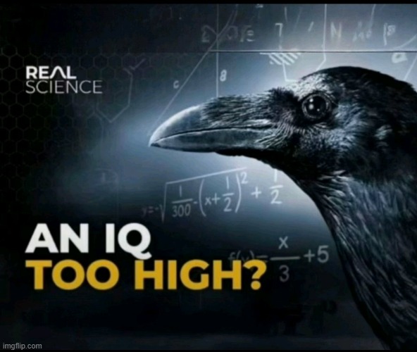 an iq too high? | image tagged in an iq too high | made w/ Imgflip meme maker