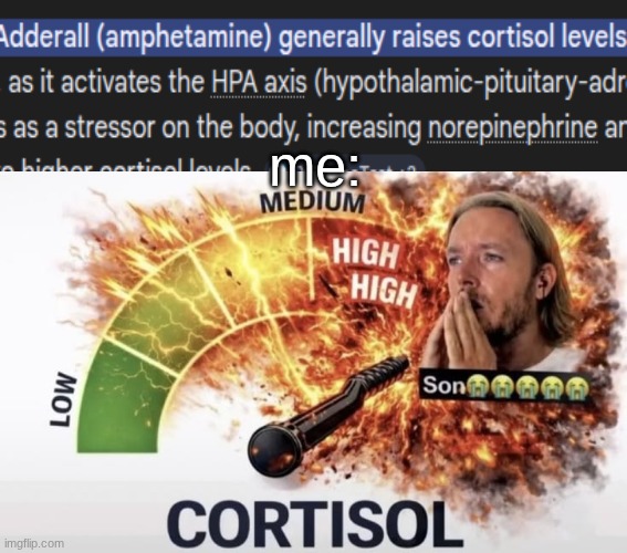 s | me: | image tagged in son high cortisol | made w/ Imgflip meme maker