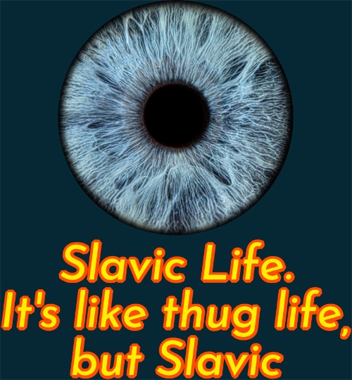 Slavic Life. It's like thug life, but Slavic | image tagged in slavic life it's like thug life but slavic | made w/ Imgflip meme maker