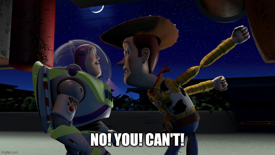 NO! YOU! CAN'T! | image tagged in you are a toy | made w/ Imgflip meme maker