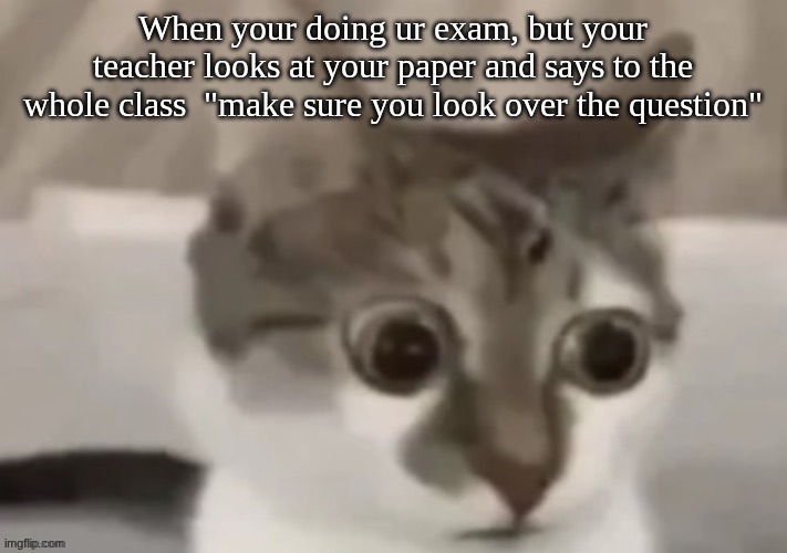 k' | When your doing ur exam, but your teacher looks at your paper and says to the whole class  "make sure you look over the question" | image tagged in bombastic side eye cat,true,test,cat,meme | made w/ Imgflip meme maker