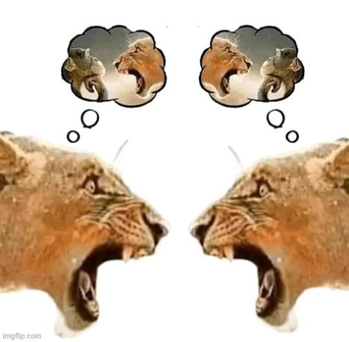 lion vs lion | image tagged in lion vs lion | made w/ Imgflip meme maker