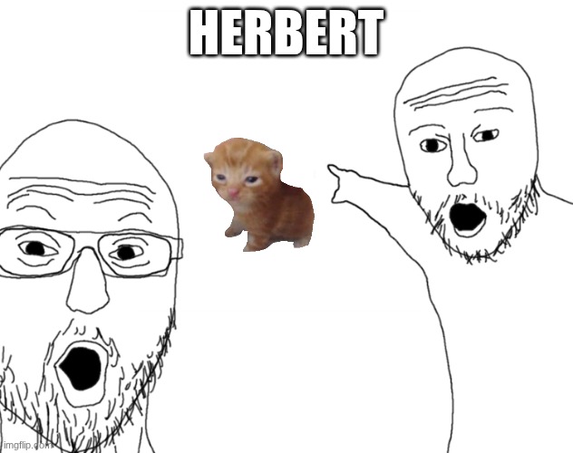 Soyjak Pointing | herbert | image tagged in soyjak pointing | made w/ Imgflip meme maker