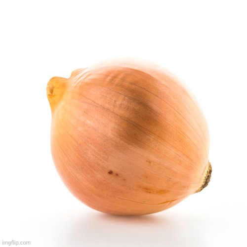 Just magnificent | image tagged in onion,onions,beautiful,memes,vegetable,yay | made w/ Imgflip meme maker