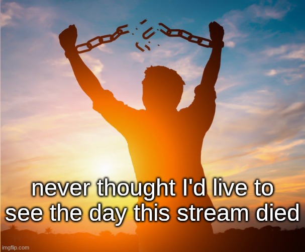 I'm free (msmg site is blocked and super slow to run when tab spamming | never thought I'd live to see the day this stream died | image tagged in man breaking free from chains over the sunset | made w/ Imgflip meme maker