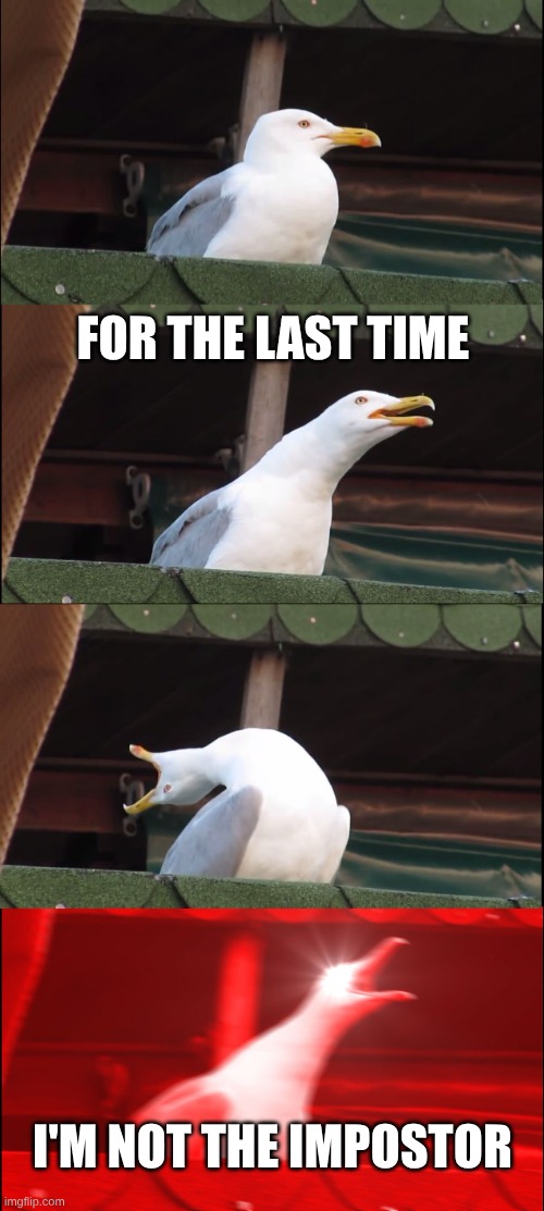 relatable among us meme | for the last time; i'm not the impostor | image tagged in memes,inhaling seagull,meme,among us,among us meeting | made w/ Imgflip meme maker