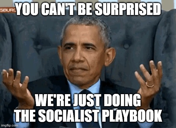Barack Obama shrug | you can't be surprised we're just doing the socialist playbook | image tagged in barack obama shrug | made w/ Imgflip meme maker