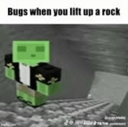 averythegayo | made w/ Imgflip meme maker