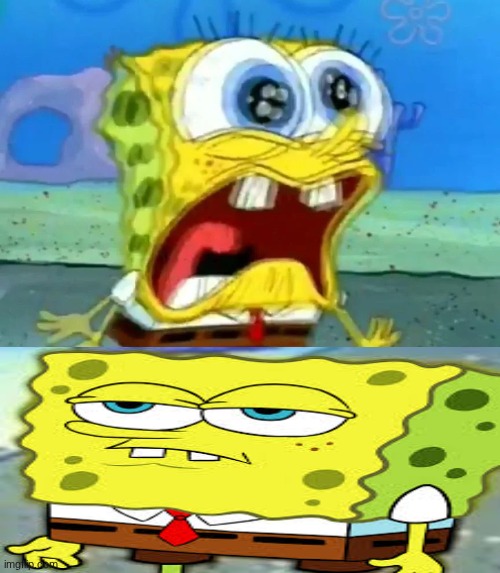 Spongebob screaming then being disappointed Blank Meme Template